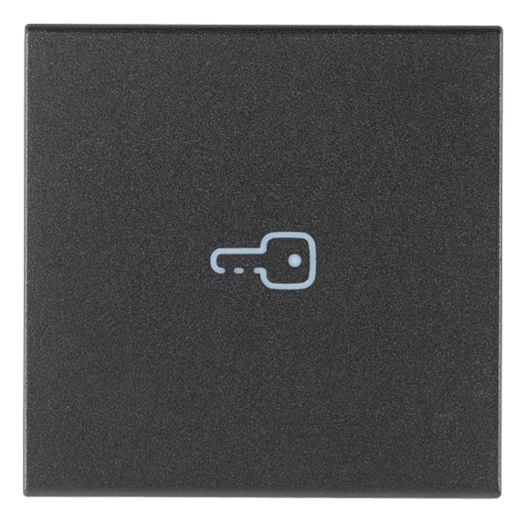 VIMAR SPA VIW19132.P TASTO 2M SIMBOLO CHIAVE ASSIALE GRIGIO