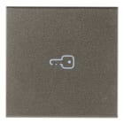 VIMAR SPA - VIW19132.P.M Tasto 2M simbolo chiave assiale Metal