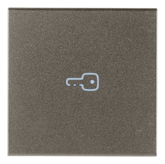 VIMAR SPA VIW19132.P.M TASTO 2M SIMBOLO CHIAVE ASSIALE METAL