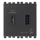 VIMAR SPA - VIW19295.AC Alimentatore USB A+C 15W 3A 5V 2M grigio