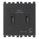 VIMAR SPA - VIW19295.CC Alimentatore USB C+C 15W 3A 5V 2M grigio