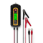 ALPHA ELETTRONICA SR - ALPCB200-008 Battery charger 2/3,6/7,2A 12/24V 5-144Ah LiFePO4 - smart 9 phases - IP65 - PROCHARGE series