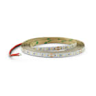 ALPHA ELETTRONICA SR - ALPJO3501441124PW Led strip 112 Led/m 2835 0,2W - 24Vdc - 14,4W/m - Cold white
