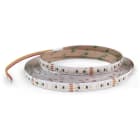 ALPHA ELETTRONICA SR - ALPJO35019243WWPW N.LED 5M 120L/M 3528 24V 19.2/M WWPWIP20