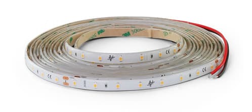 ALPHA ELETTRONICA SR ALPJO365044644WW N.LED 5M 24V 4.8W 64L/M 2835/0.2 IP65 BC