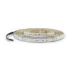 ALPHA ELETTRONICA SR - ALPJO36512243RGB Led strip 60 Led/m 3535 - 24Vdc - 12W/m - RGB