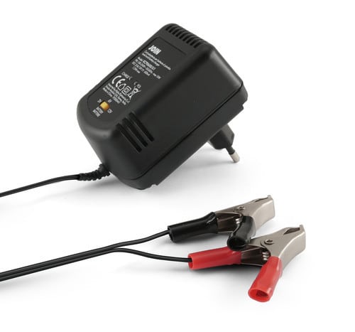 ALPHA ELETTRONICA SR ALPKCP0600/U1 CAR.BATT. PB 2-6-12V.600MA CON PINZE