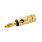 ALPHA ELETTRONICA SR - ALP20-52N SPINA BANANA NE ORO