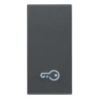 VIMAR SPA VIW20021.P TASTO 1M SIMBOLO CHIAVE GRIGIO