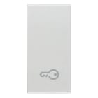 VIMAR SPA - VIW20021.P.N Tasto 1M simbolo chiave Next