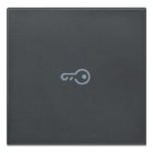 VIMAR SPA - VIW20132.P Tasto 2M simbolo chiave assiale grigio