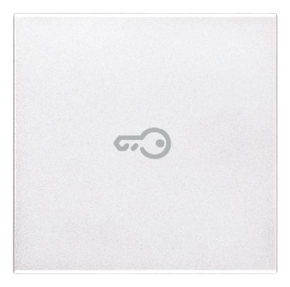 VIMAR SPA VIW20132.P.B TASTO 2M SIMBOLO CHIAVE ASSIALE BIANCO