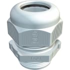OBO BETTERMANN - OBO2022901 V-TEC VM16UV LGR PRESSACAVO