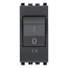 VIMAR SPA - VIW20405.06 INTERRUTTORE MT 1P+N C6 120-230V GRIGIO