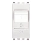 VIMAR SPA - VIW20405.06.B INTERRUTTORE MT 1P+N C6 120-230V BIANCO