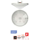 THEBEN SRL THE2079500 THEPREMA S360 KNX UP BIANCO