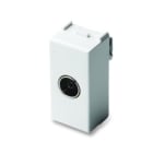 MASTER SRL - MST21255 MIX PRESA TV 9,5MM PASS./FINALE