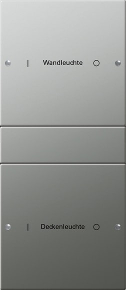 GIRA - GGI2132602 Wippenset 2f (1+1) beschr. System 55 Ede