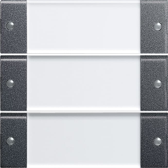 GIRA GIR213328 Wippenset 3f BSF System 55 Klar/Anthrazi