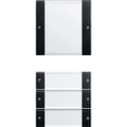GIRA GGI2134005 Wippenset 4f (1+3) BSF System 55 Klar/Sc