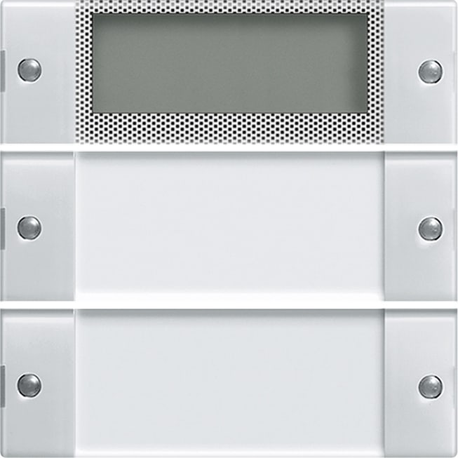 GIRA GIR214203 Wippenset 2f Plus BSF System 55 Klar/Rei