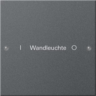 GIRA - GGI220128 Wippenset 1f beschr. System 55 Anthrazit