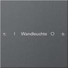 GIRA GGI220128 Wippenset 1f beschr. System 55 Anthrazit