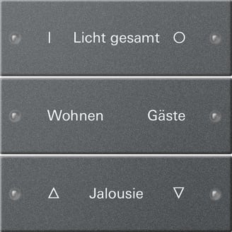 GIRA - GGI220328 Wippenset 3f beschr. System 55 Anthrazit