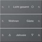 GIRA GGI220328 Wippenset 3f beschr. System 55 Anthrazit