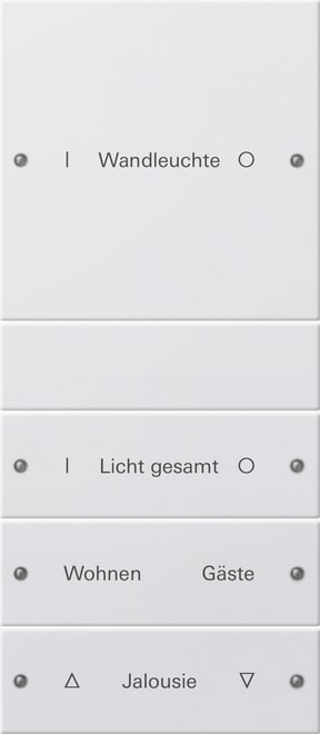 GIRA - GIR220403 Wippenset 4f (1+3) beschr. System 55 Rei