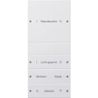 GIRA - GIR220403 Wippenset 4f (1+3) beschr. System 55 Rei