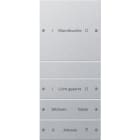 GIRA - GIR220426 Wippenset 4f (1+3) beschr. System 55 F A