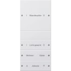 GIRA - GIR220427 Wippenset 4f (1+3) beschr. System 55 Rei