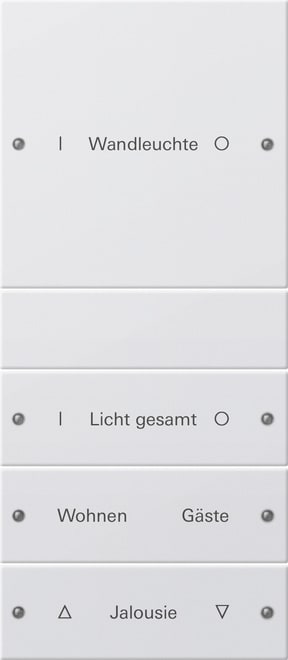 GIRA GIR220427 Wippenset 4f (1+3) beschr. System 55 Rei