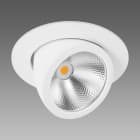 FOSNOVA - FOS220888131241 LUTHOR BIG 888 COB 54W 4K CLD-D-D BIA