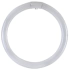 DURALAMP SPA DRL2284T CIRCOLINA G10Q 22W 4100K TRIFOSFORO