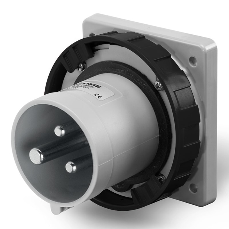 SCAME PARRE SPA - SCA248.63936 SPINA DA INCASSO 63A 2P+T 7h 480-500V