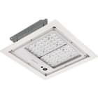SIGNIFY ITALY SPA - PHA99748200 BBP333 LED81/757 I PRM