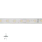 LINEA LIGHT (ILED) - ILDC00122WHWDI PU_C+ BA 5M 24V 70LED/M RA90 3000K