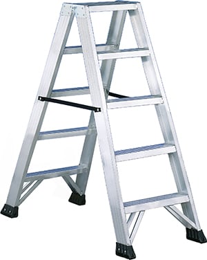 INTERCABLE SRL INR2804005 SCALA DI SICUREZZA A DOPPIA SALITA 2X5