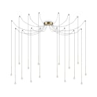 IDEAL LUX SRL - IUX284019 LUCCIOLA SP16 OTTONE