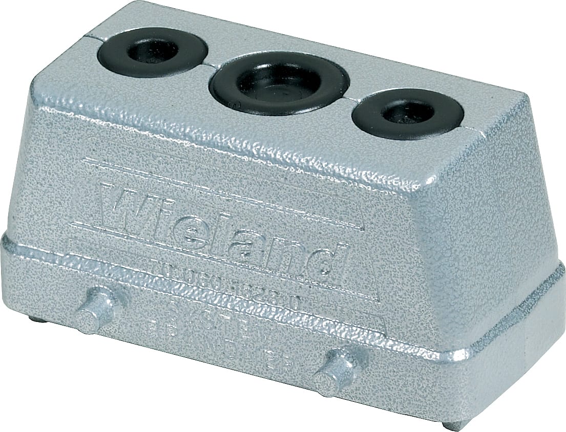 WIELAND ELECTRIC SRL WIE70.060.1628.0 INGRESSO DATI IT DKE 16