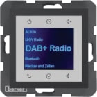 BERKER BRK29841606 RADIO TOUCH DAB+, S.1/B.X ANTR.OPACO