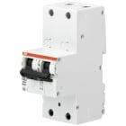 ABB SPA - ABBS752DRK25 S752DR-K25 INT.AUT.SEL.2P