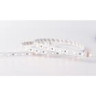 LINEA LIGHT (ILED) - ILD84198 RIBBON 12MM 48V RGBW 4000K