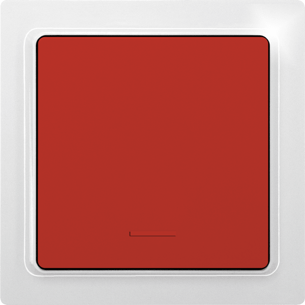 ELTAKO AUSTRIA GMBH - EAK30055810 F1T55E-wg/rot