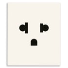 VIMAR SPA - VIW30248.B Presa SICURY 2P+T 16A USA+EU bianco