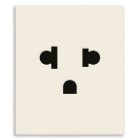 VIMAR SPA - VIW30248.C Presa SICURY 2P+T 16A USA+EU canapa