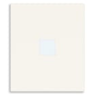 VIMAR SPA - VIW31000A.2DB TASTO 2M CON DIFFUSORE ASSIALE BIANCO