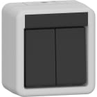 GIRA - GIR310530 INT.BIL. DOPPIO SOPRA INT. PROT.AC. GRIG